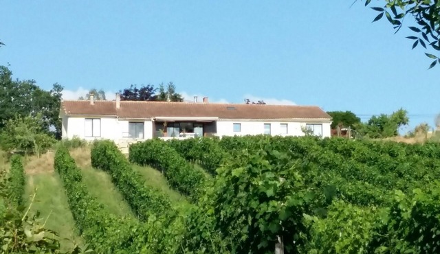 Vineyard View Studio with 180 ° views of the vineyards