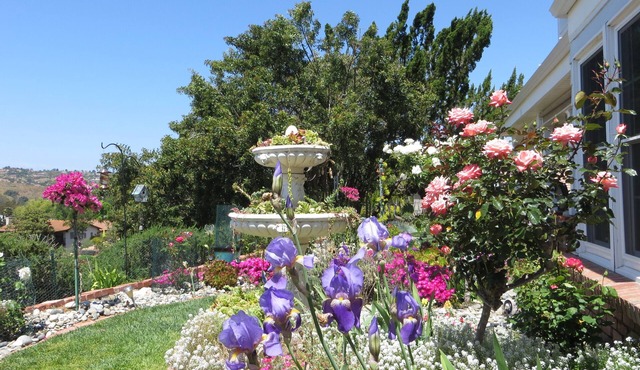 Vineyard View with King Bed - 50% off Monthly Rates