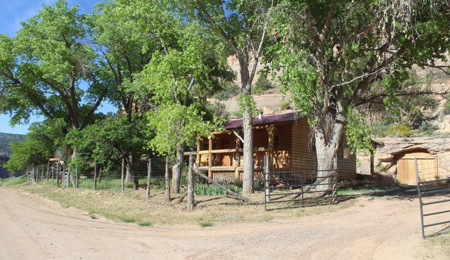 Vineyard views from our cozy Montezuma Cabin
