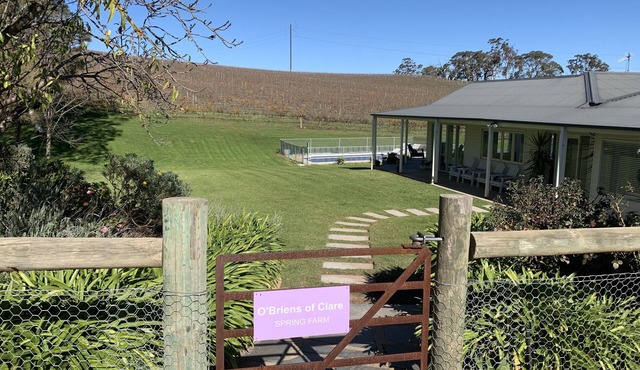 Vineyard views, large deck, Pet friendly, WiFi, Netflix, Pool, Firepit, Aircon