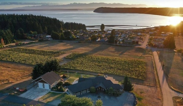 Vineyard Villa + Guesthouse/Swim Spa +Hot tub With A/C