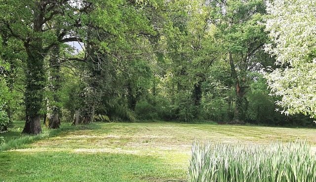 Vintage house in the country