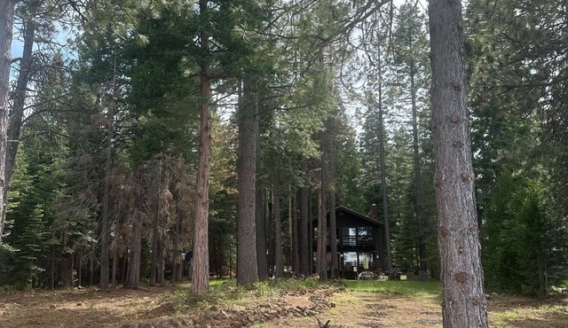 Vintage 4-bedroom cabin in Lake Almanor West with WiFi.