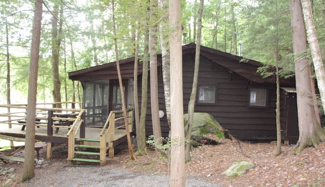 Vintage Adirondack Cabin Saranac Lake - pet friendly