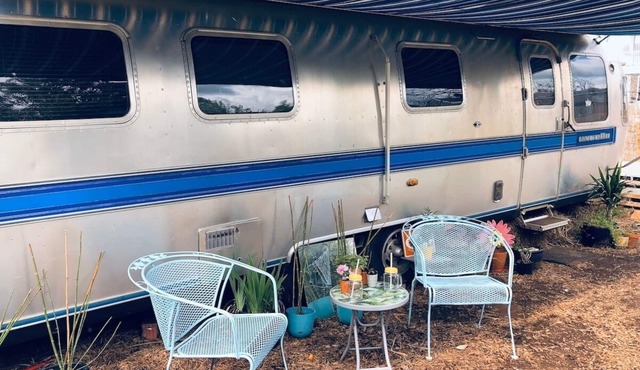 Vintage Airstream Tiny House on Urban Flower Farm