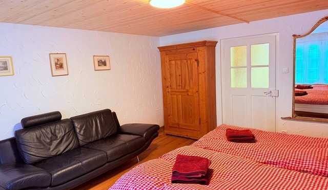 Vintage apartment (15 min to Grindelwald ski resort)