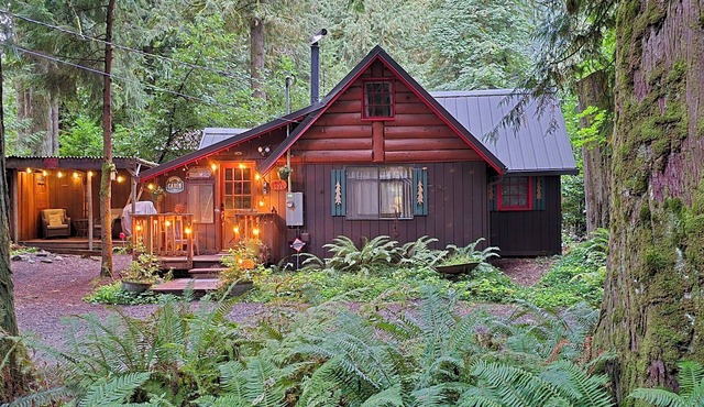 Vintage Cabin Near Zig Zag River with Hot tub & Sauna