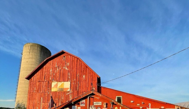 Vintage camper with fabulous views of the rolling hills of Western New York