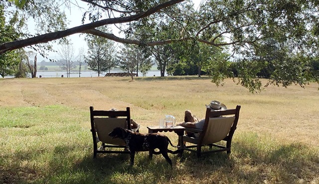 Vintage Caravan in the Hawkesbury Valley