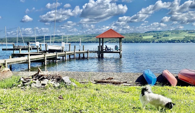 VINTAGE COTTAGE OVERLOOKING SENECA LAKE PRIVATE BEACH/DOCK/KAYAKS/CAMPFIRE