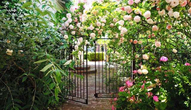 Vintage Courtyard Villa｜5 Bedrooms · Small Fountain and Garden Views