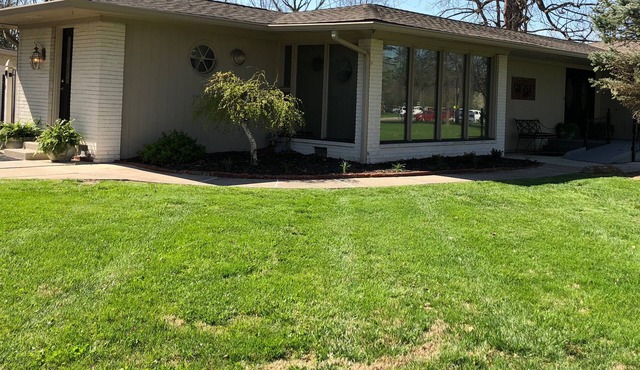 Vintage Dream - Luxury Mid- Century Modern