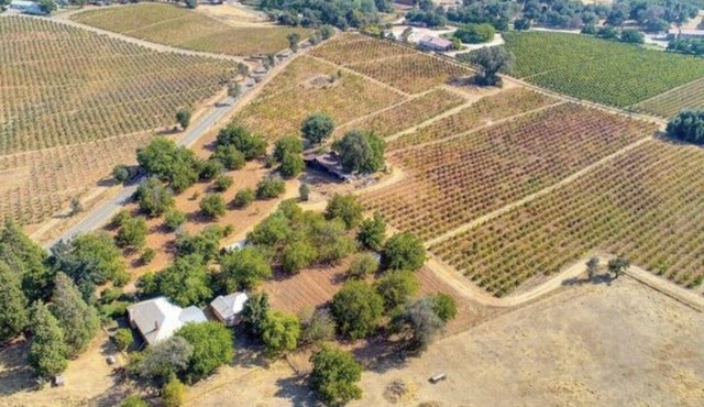 Vintage Farmhouse on 50 acres surrounded by vineyards - Farmhouse experience