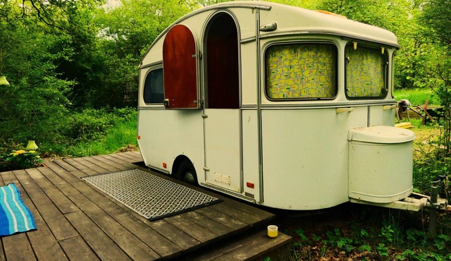 Vintage Caravan in green and quiet paradise