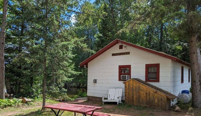 Vintage Lakeside Cottage on Long Lake ~ Birchwood