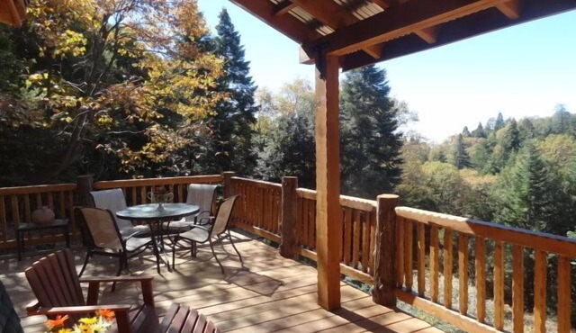 Vintage/Modern Cabin Fever! Fun on the Mountain!