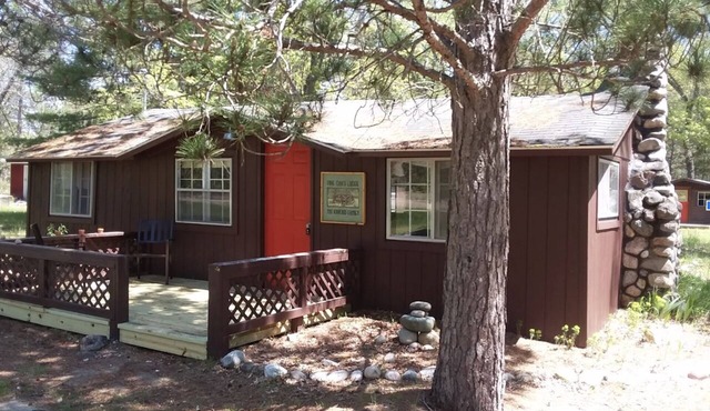 Vintage Pet-Friendly Family Cabin and Bunkhouse in the Atlanta State Forest