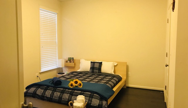 “Virginian retreat” (15 minutes from IAD Airport)
