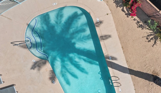 Viridian Biltmore Villa with Pool