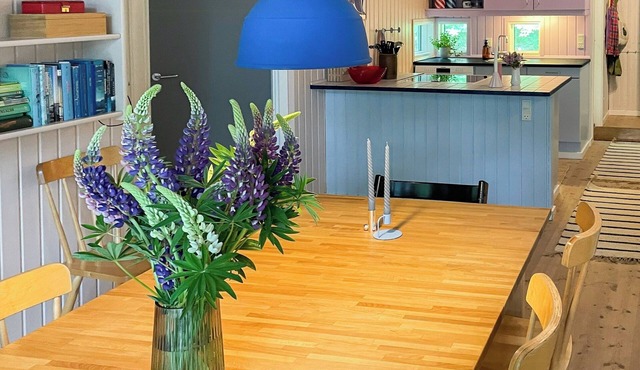 Virksund home with grounds and hot tub