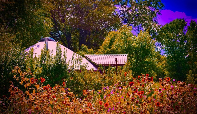 Visit award winning wineries in our valley in tricked out Yurt on the NF River.
