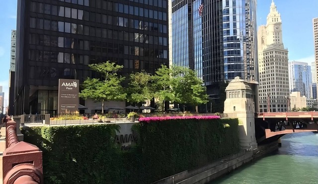 Visit Chicago! 4 Modern Units near 360 Chicago and Oak Street Beach! Parking!