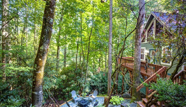 Visit #mytreetophideaway located in Banner Elk, NC, nestled high in the trees.