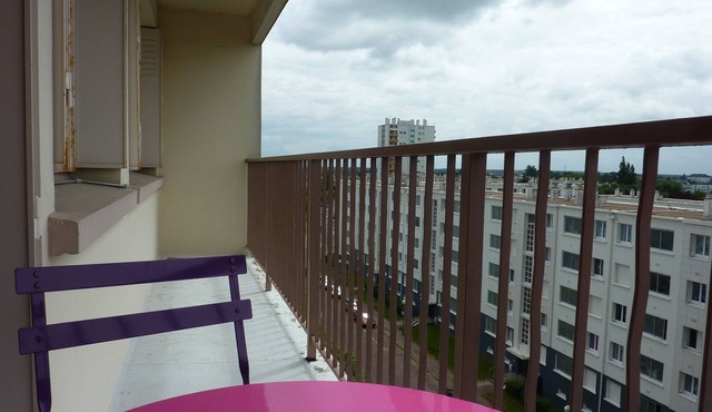 VISIT THE CASTLES OF THE VAL DE LOIRE/VIGNOBLES/