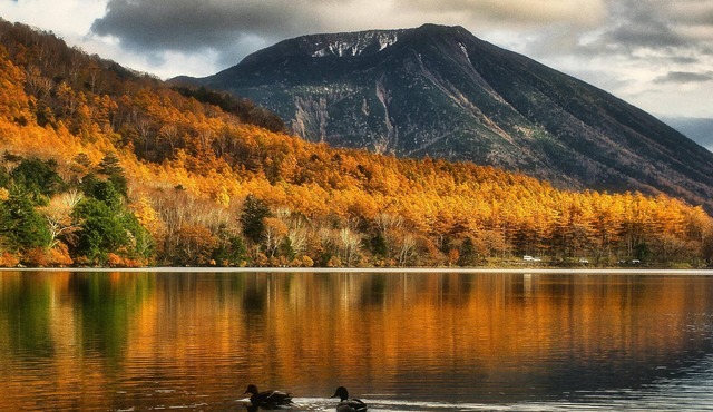 Visit the Jersey Shore from our Hazlet Room !