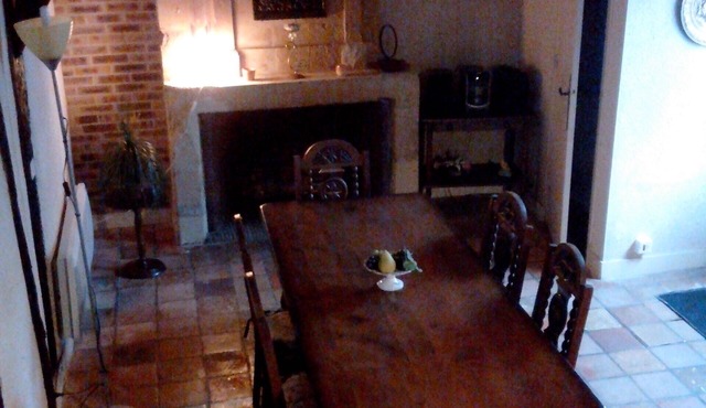 Visit TOURAINE, its castles, its vineyards, the BODIN'S show.