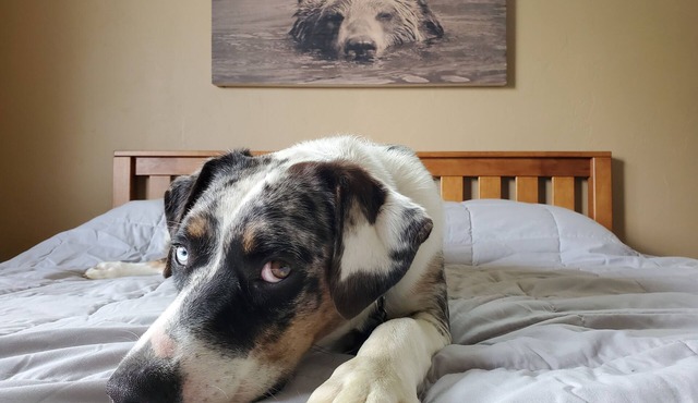 Visit Tres Chivos Farmhousenwarm and cozy, Kids and pet friendly too!