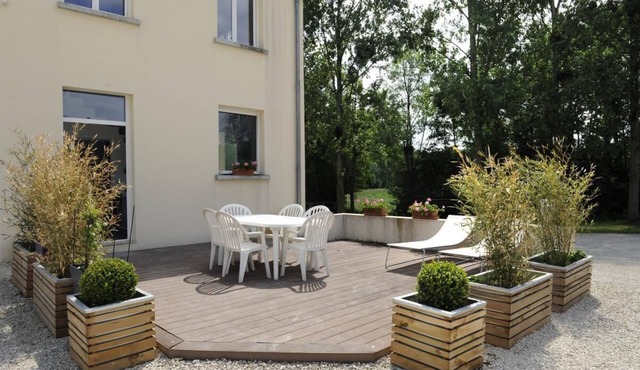 Visite de Cave et Dégustation de Champagne par le Propriétaire