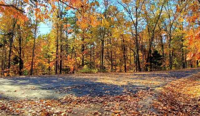Vista del Paradiso "View of Paradise" Entire home