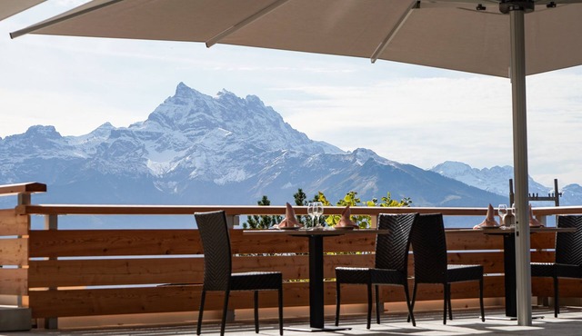 VIU Hotel Villars