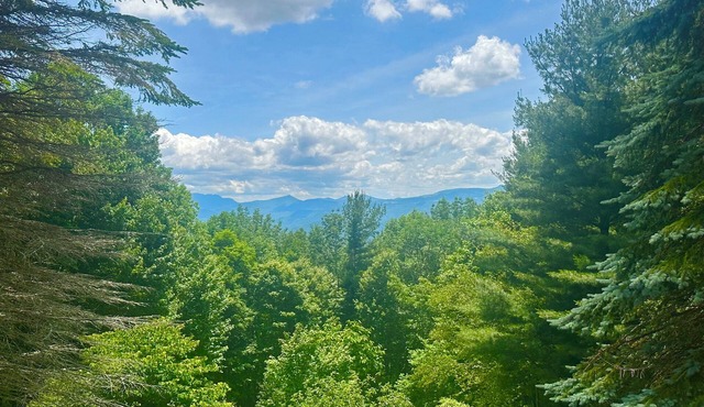 Vivian's View is a majestic mountain paradise!