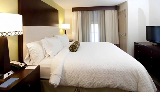 Vivid Suite for Your Next Getaway! Free
