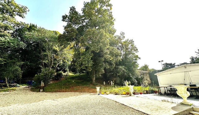 Vivre la vie de Château en Bord de Loire 6