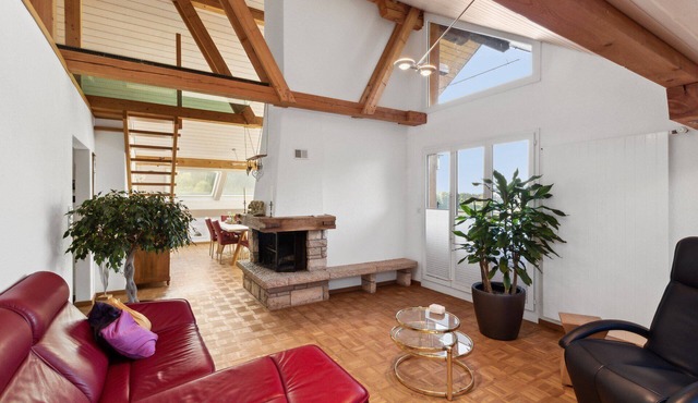 VK Zürich Airport Homestay Villa Bänikon