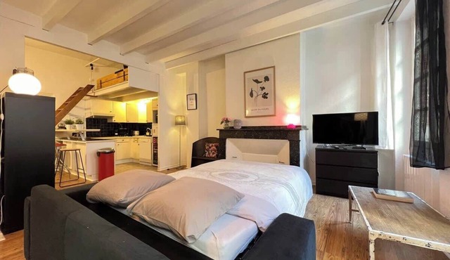 Vogue - Appartement 6p au coeur des Carmes