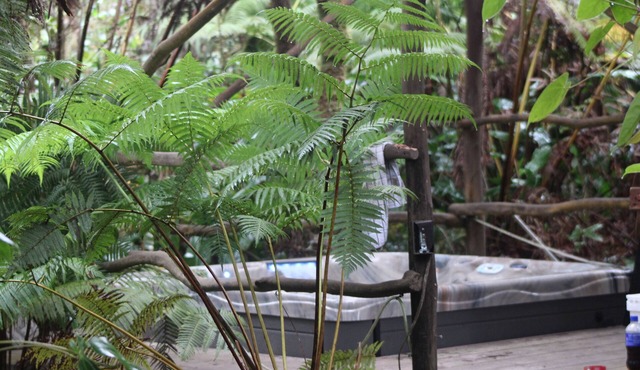 Volcano Rainforest Retreat with a Hot Tub