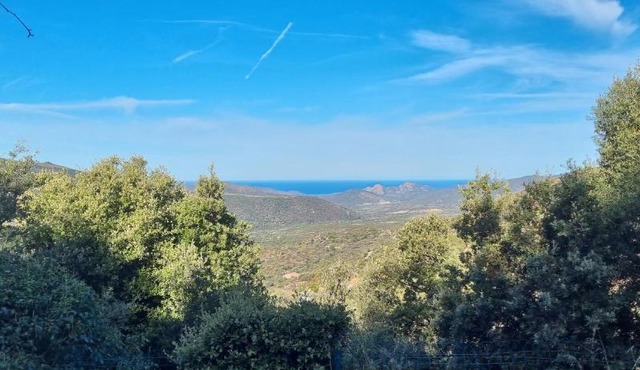 Vos vacances à Lama France Corse