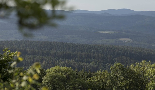 Vosges/Alsace :Gîte with panoramic views over valley and mountains in the heart of nature.