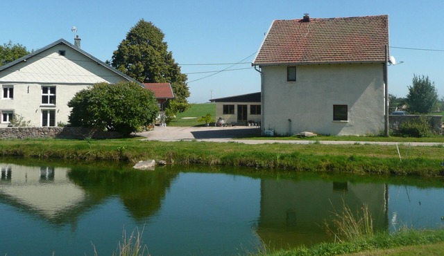 Vosges farmhouse, renovated with taste 5 *, great comfort/Pool/Sauna/Ha
