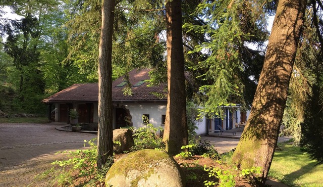 Vosges House 400m2 of character set in a green setting