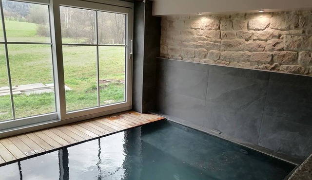 Vosges mill/farm transformed into a charming gite for 12 people, infinity spa,