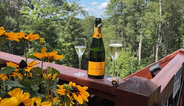 Voted #1 home on Beech, loft, views, hot tub, pets, private, 2 beds, & firepit