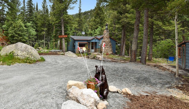 VR-21-0003 Enchanting Romantic Creekside-NS-Cabin Near Estes Allenspark , WiFi