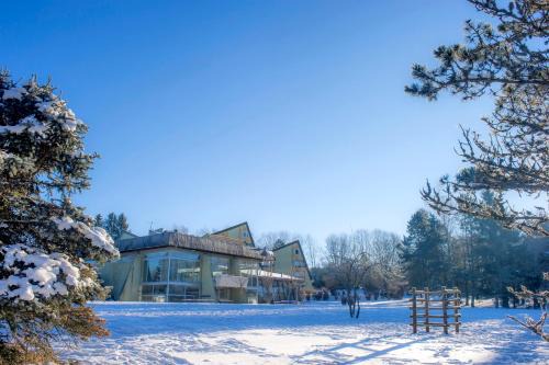 VTF Le Domaine des Puys