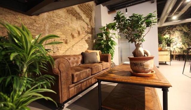 VTZ The Botanic Hostel