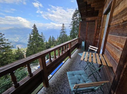 Vue 180 - Au pied des pistes - Typique et alpin